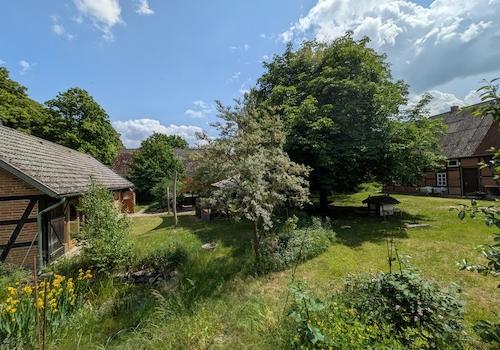Blick in den Garten und Häuser