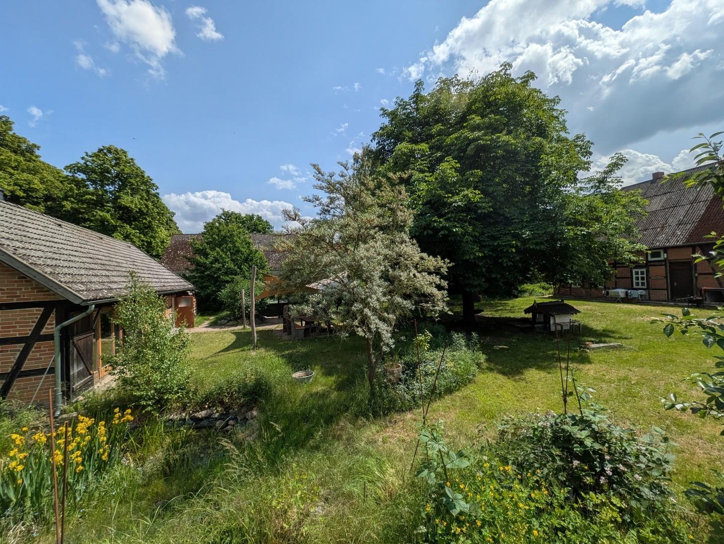 Blick in den Garten und Häuser