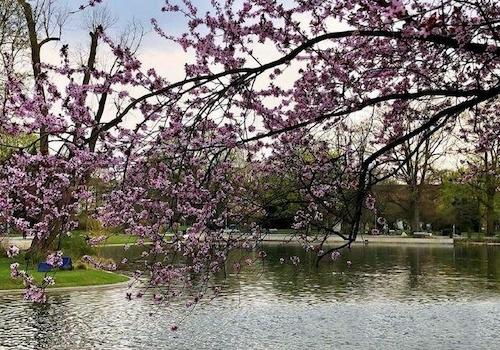 Stadtpark 1