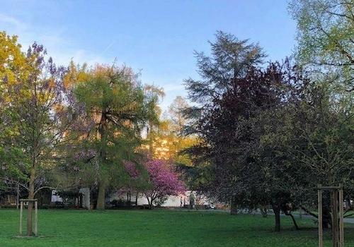 Stadtpark 2