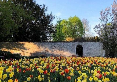 Stadtpark 3