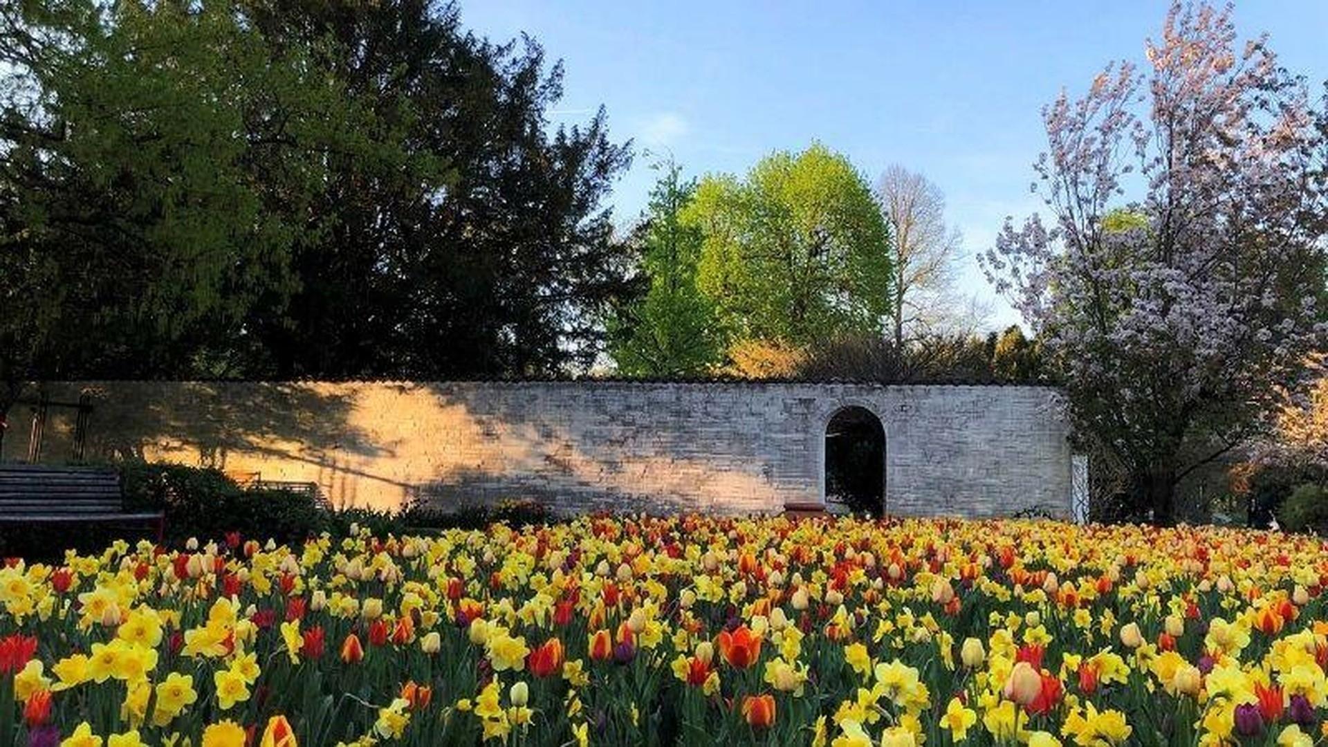 Stadtpark 3