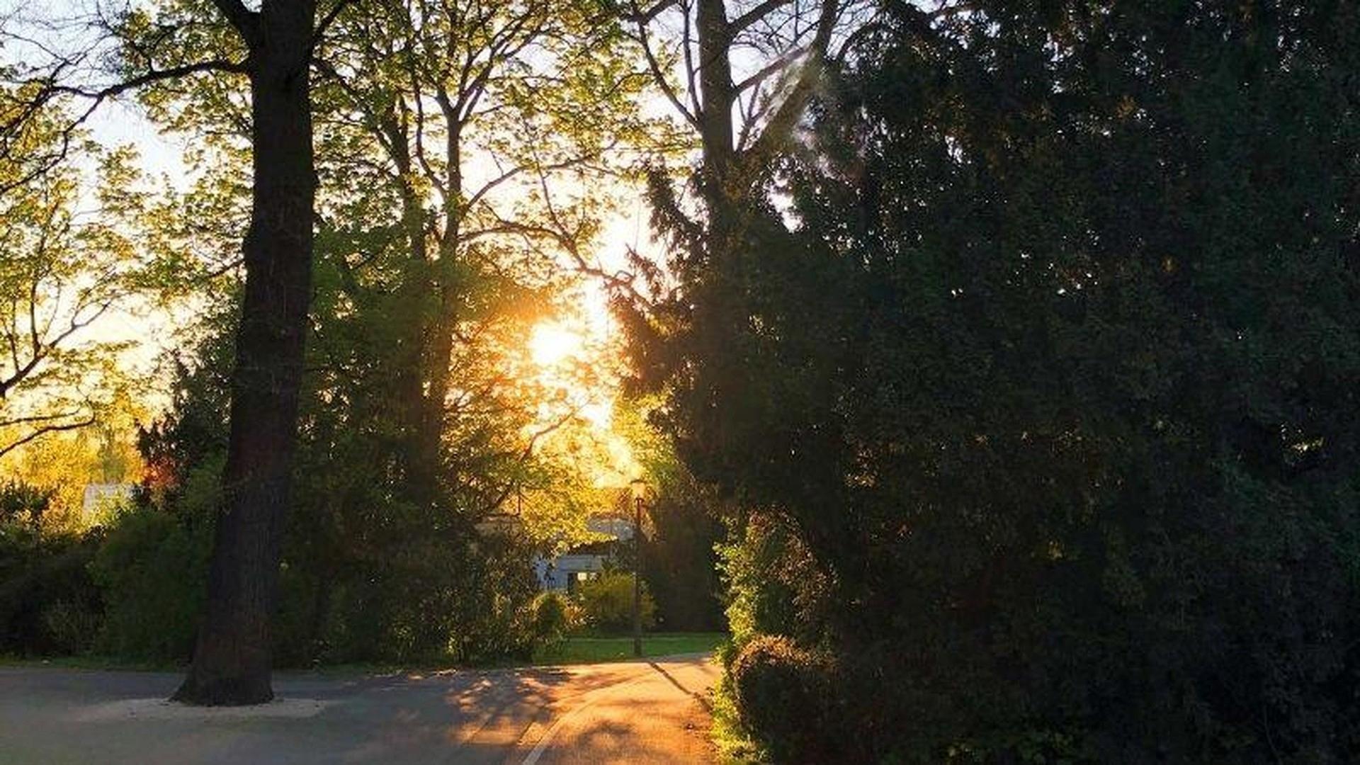 Stadtpark 4