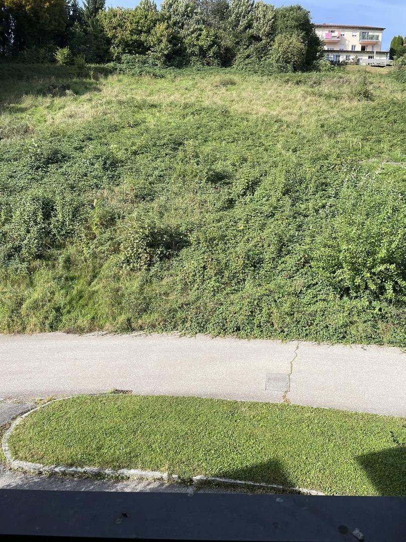 Ausblick vom Balkon II