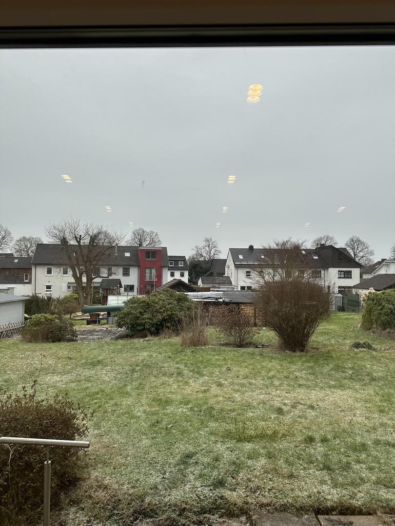 Blick in Garten