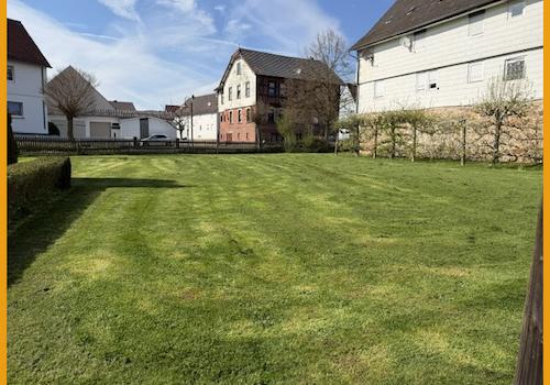 Blick in den Garten