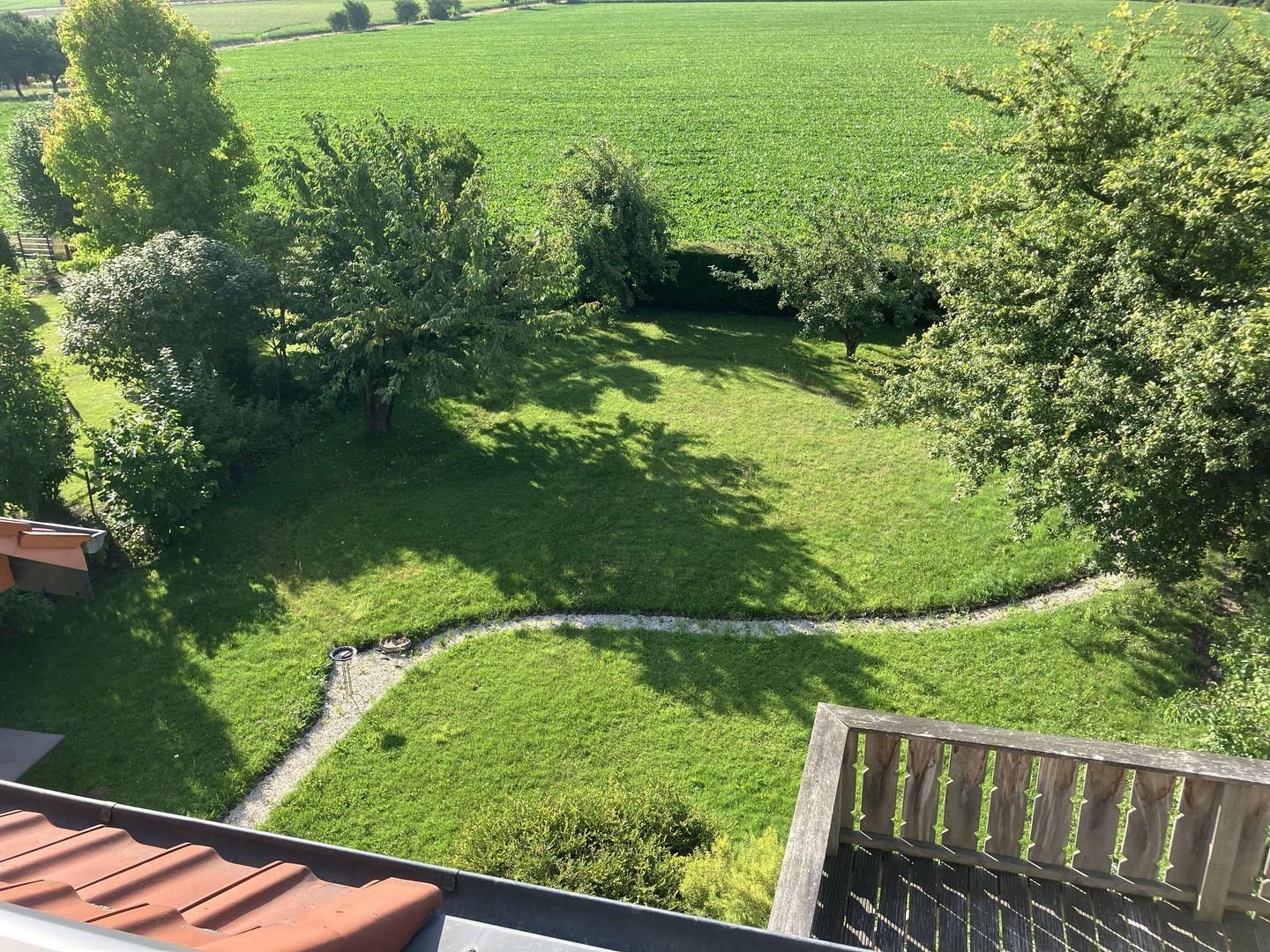 DG Aussicht