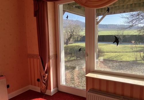 Gartenaussicht