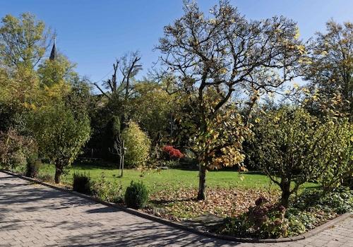 Prächtige Gartenanlage