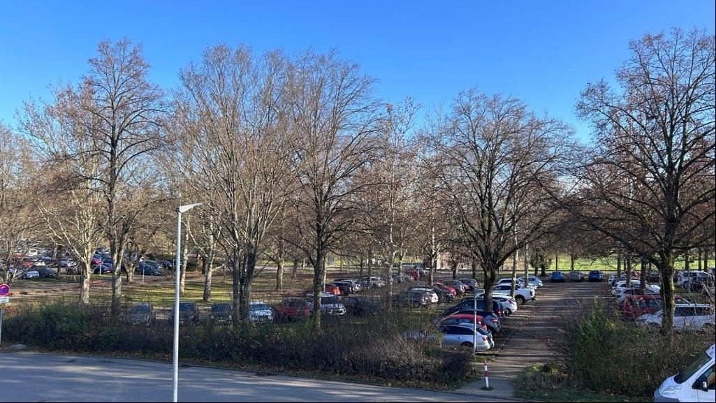 Weitblick
