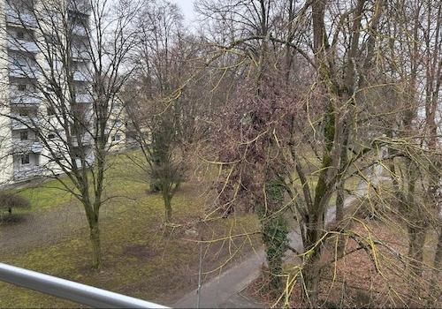 Ausblick vom Balkon