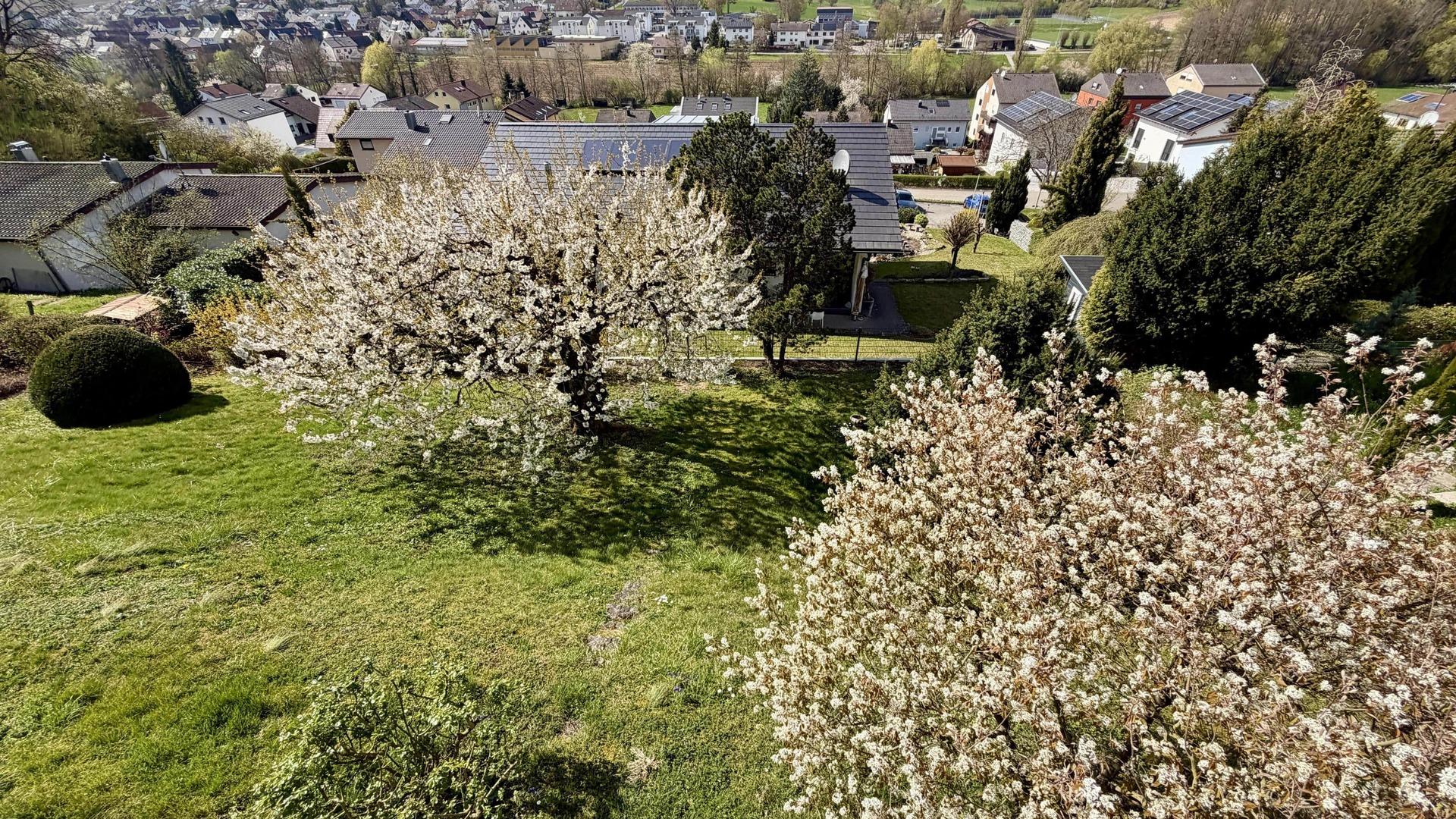Garten vom Balkon aus gesehen