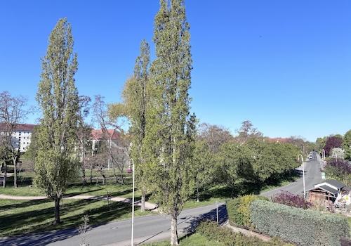Ausblick Balkon