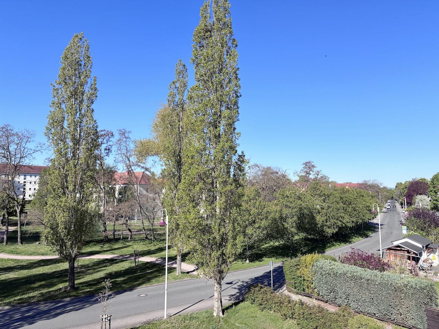Ausblick Balkon