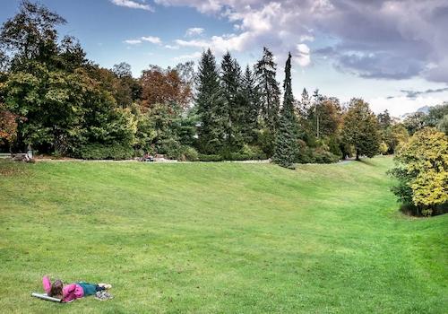 Thielpark