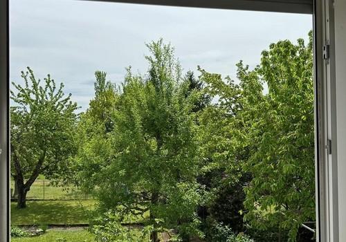 Blick Eltern