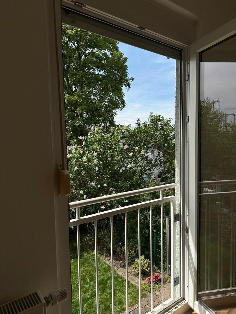 Blick Kind 1