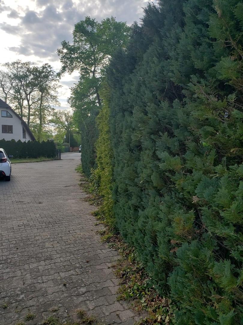 Ausfahrt vom Grundstück