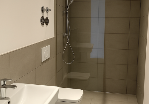 Dusch-WC