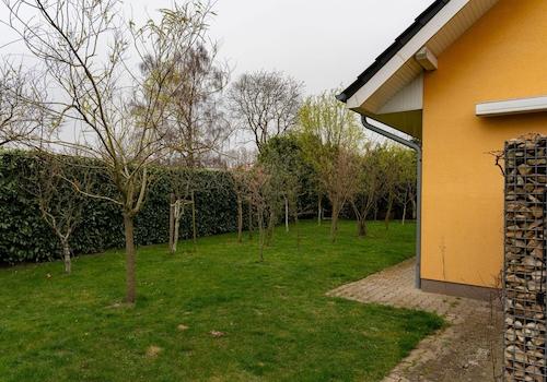 Garten hinter dem Haus
