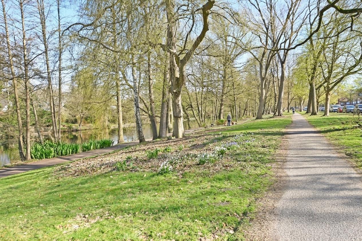 Park 2