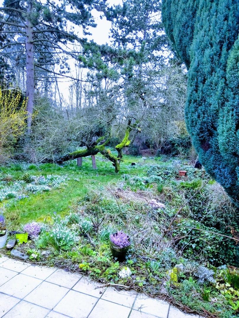 1. Garten