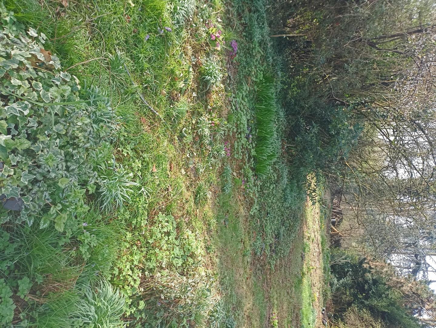 1. Garten