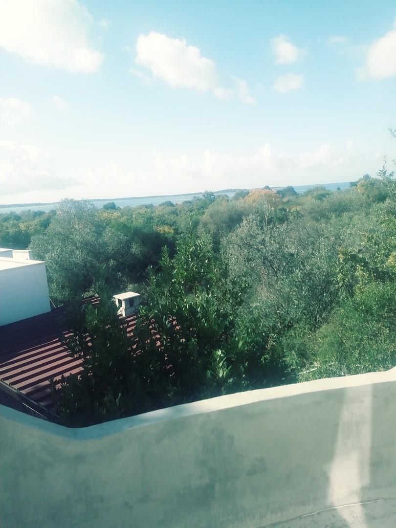 Blick zum Wald und Meer