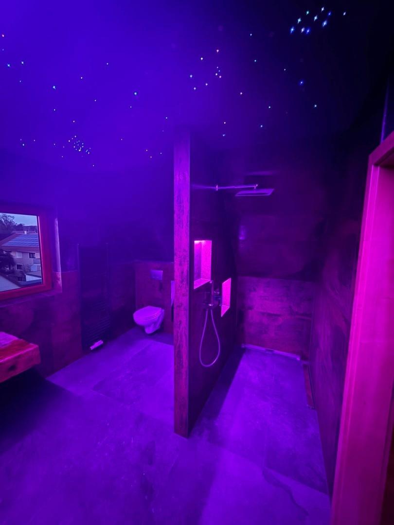 Spitzboden - Badezimmer 2
