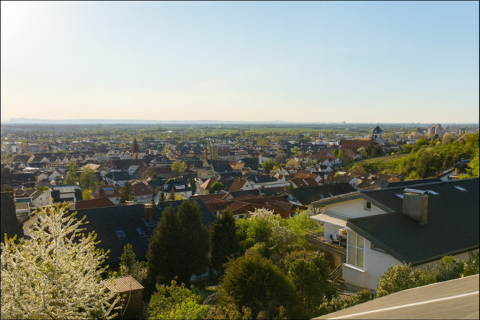 Blick über die Rheinebene