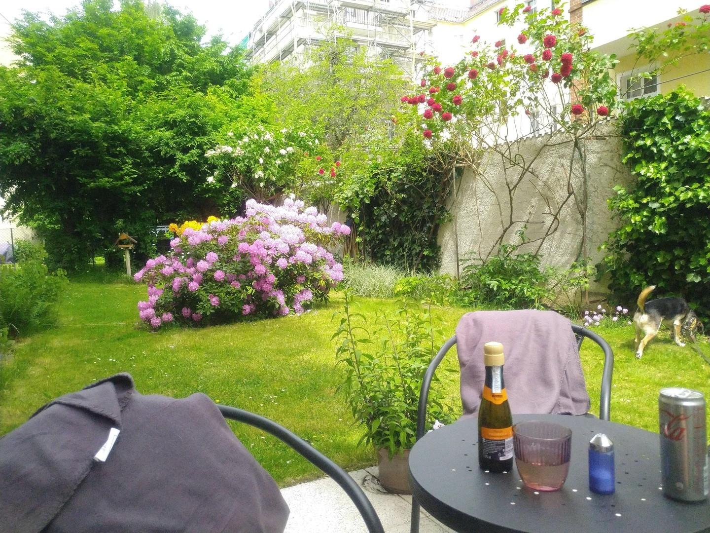 Garten mit Begrünung
