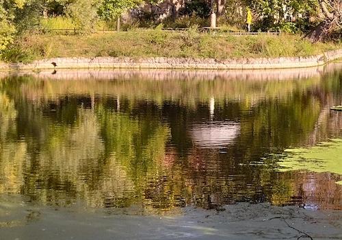 Teich im Park