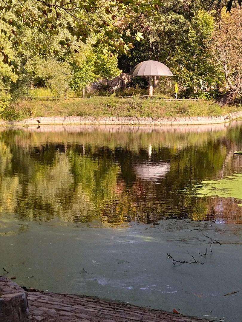 Teich im Park
