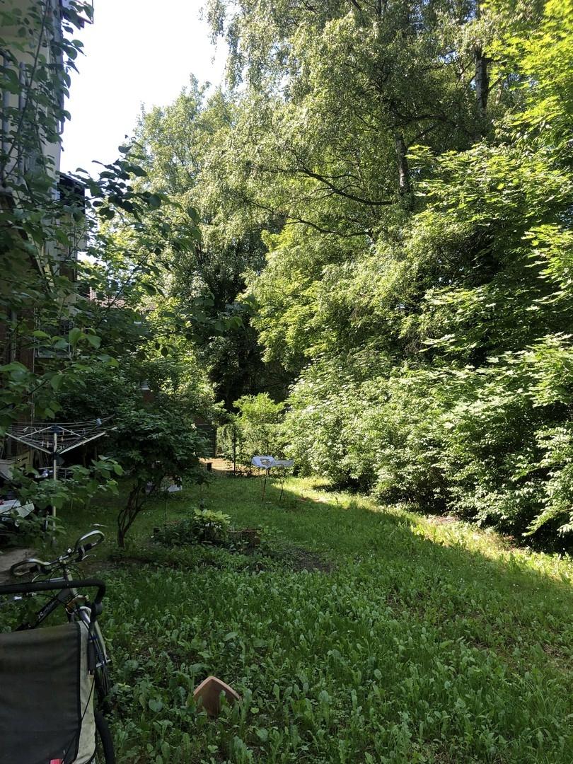 Grünanlage hinter dem Haus