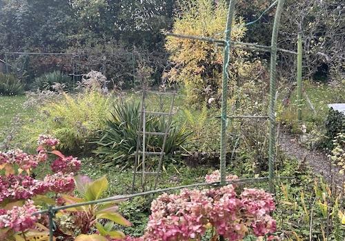 Garten hinter dem Haus