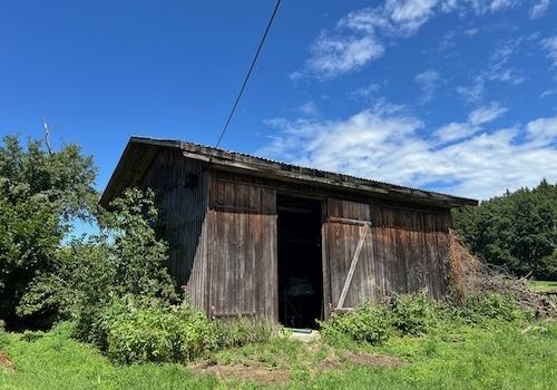 Hopfenpflückanlage