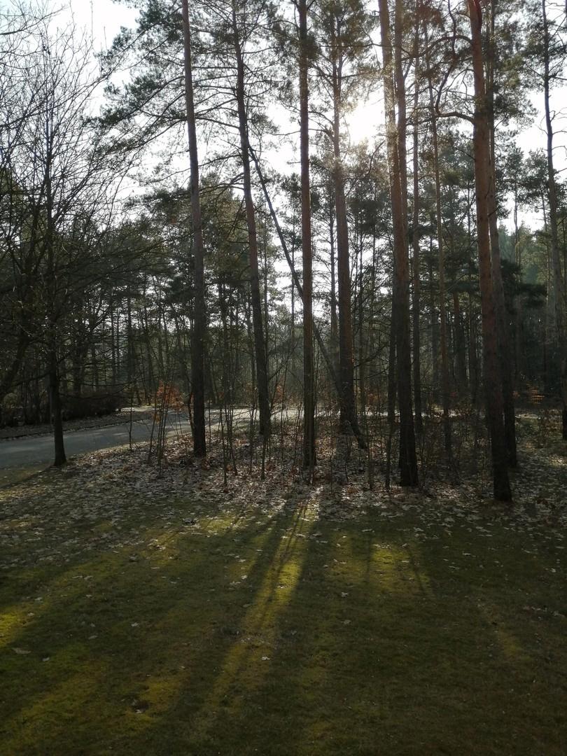 Blick vom Balkon