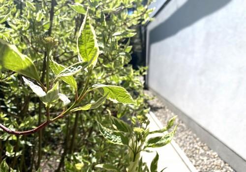 07 Gartenanlage Ost