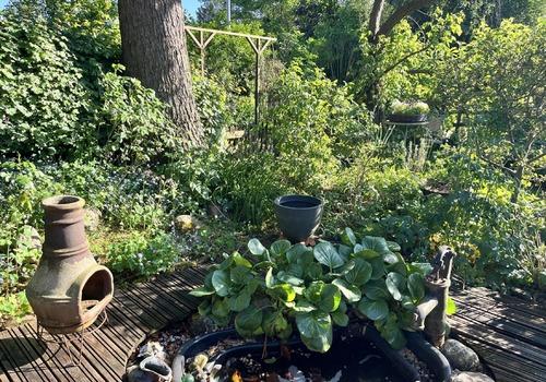Gartenimpression