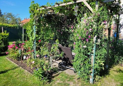 Weinlaube im Garten
