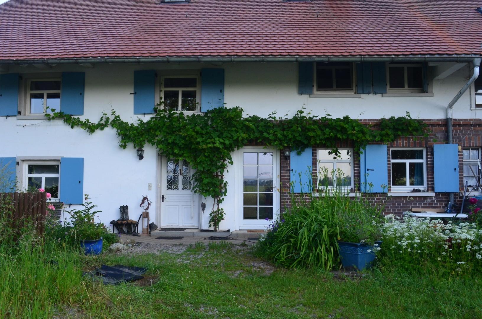 zwei Eingänge und die Weinrebe