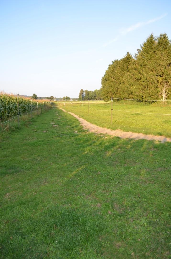 Rennstrecke auf dem Trail 