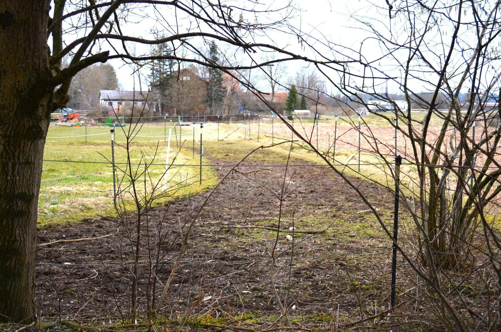 Trail teilweise unter Bäumen 