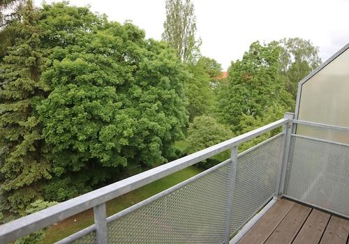 Blick ins Grüne