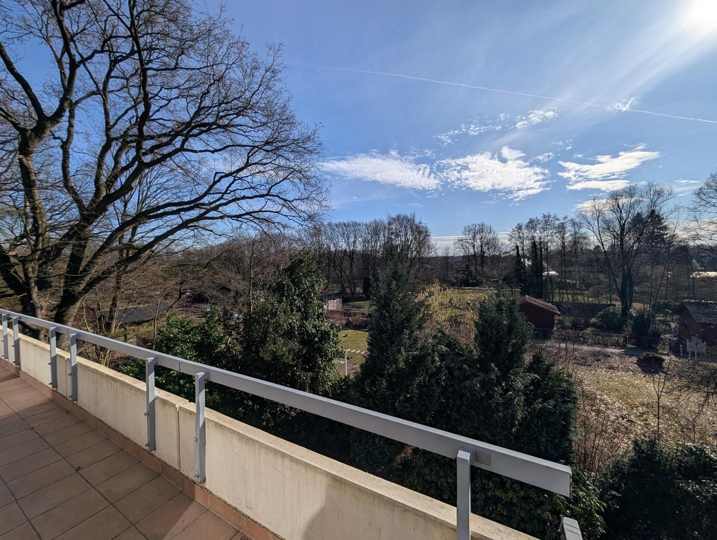 Ausblick ins Grüne