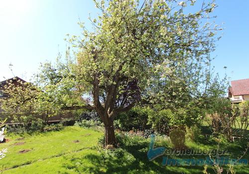 Garten 3