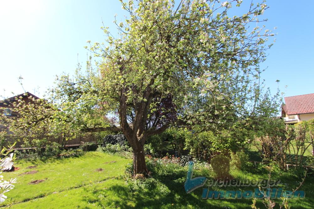 Garten 3