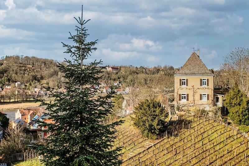 Blick aus dem Fenster