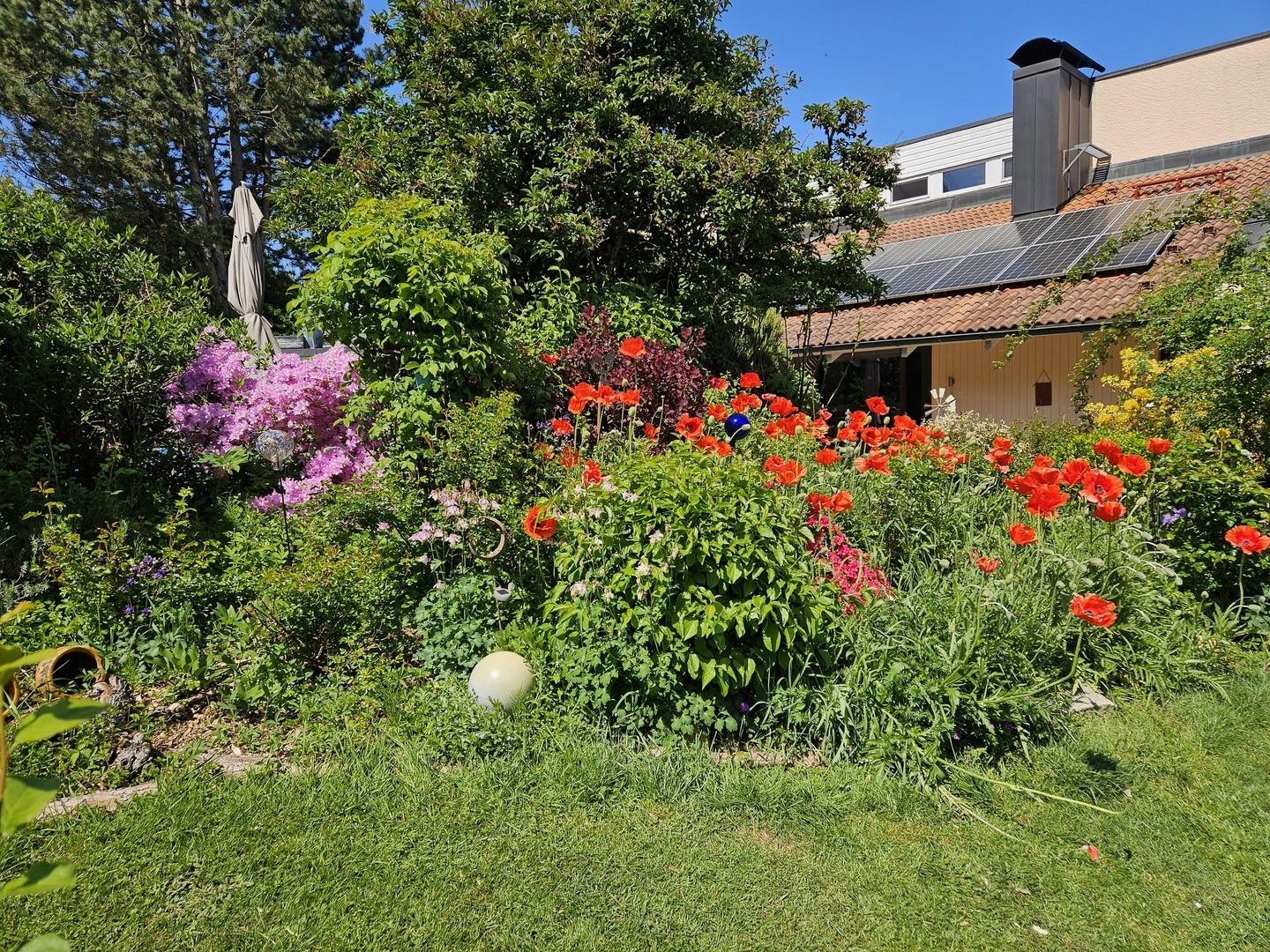 Blick aufs Haus