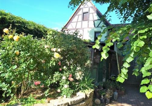 hinterer Garten 